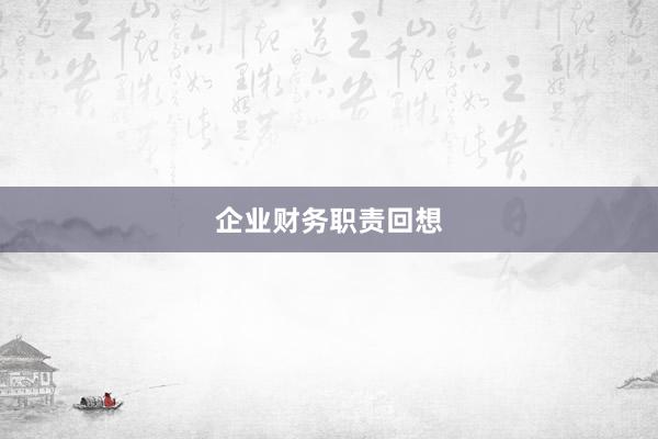 企业财务职责回想